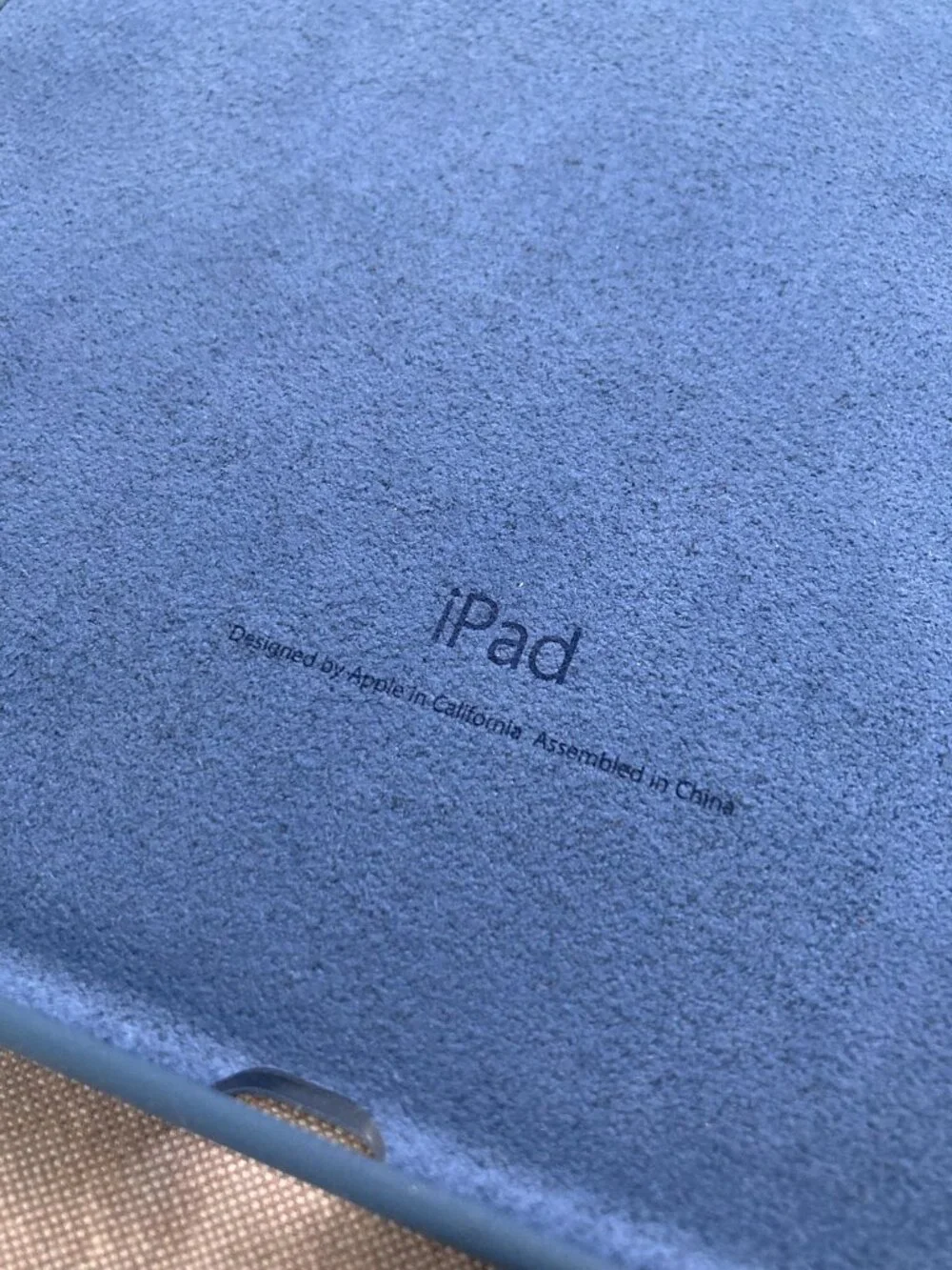 Genuine Apple #MN2F2ZM/A Silicone Case for 9.7